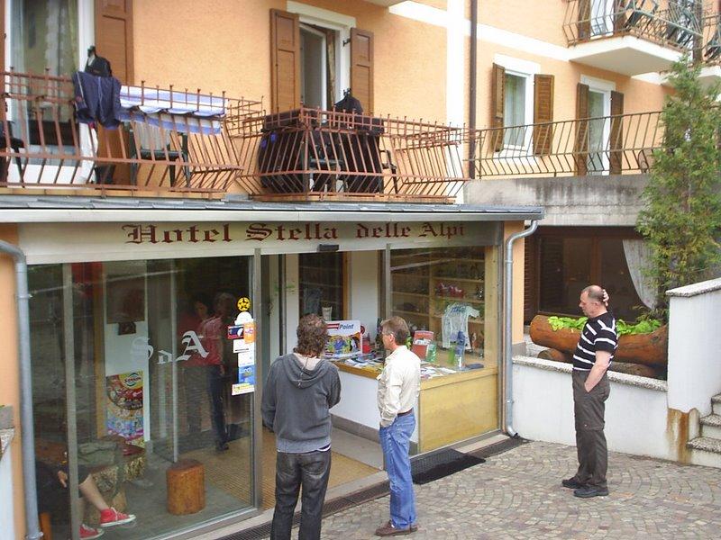 Stella delle Alpi.jpg